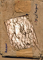 9789186065065